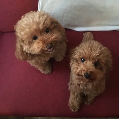 nnnaooo4's profile picture. BLACKPINKが好きで、バンタンの沼にハマってます♡ユンギペンですがジミンの話し方に癒されてます☺️ゆんもこさんのお話が大好きなもこらーです❤️仲良くしてくださると嬉しいです😊もこらーさん大歓迎🐾18↑