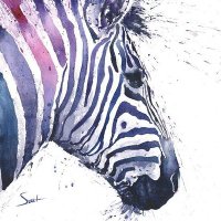 LaZebra (@lazebrareal) 's Twitter Profile