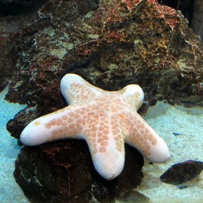 jpbdtgjwjsmmwtj's profile picture. 