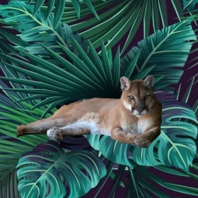 HCMS_Counseling's profile picture. 💚💙