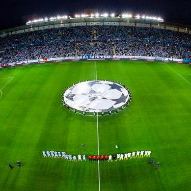 ToddeGazesDown's profile picture. MFF