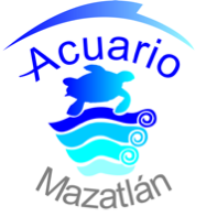 Ven y conoce al Acuario Mazatlan! Tienes preguntas, comentarios o ideas? Mandanos un twitter o escribenos a: info@acuariomazatlan.com