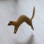 ᵕ≀ ̠ᵕさんのプロフィール画像