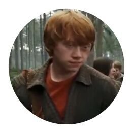 libraomnium's profile picture. 