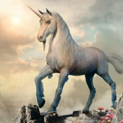 Ducking2020's profile picture. Don't listen to me, no qualifications and have no clue...just searching for whats real in a world full of unicorns.