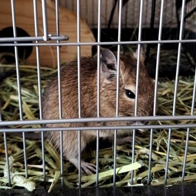 W1rdUDplQXIc8ek's profile picture. 