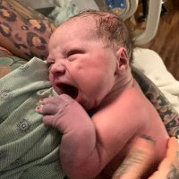 korie wilson (@ta2jitsu) 's Twitter Profile
