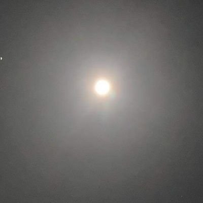 godly6900's profile picture. 