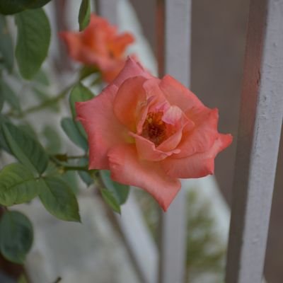 BhartiJaynendra's profile picture. It does not matter what I do for myself, it makes a difference to others for whom I do.
“मैं शक्तिशाली आत्मा हूँ, मेरा हर कर्म सही है, परमात्मा का ज्ञान और द