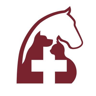 Bringing Excellence Home |
AAHA-accredited veterinary clinic | Follow for helpful pet tips, wholesome memes, important updates, and adorable animal pics!