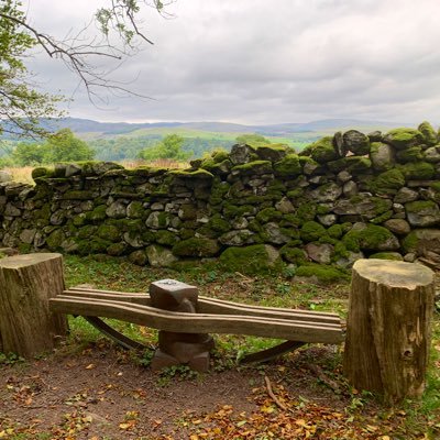 BenchScottish Profile Picture