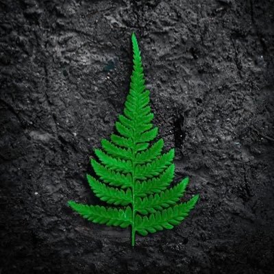 Chikachiedozie's profile picture. Make sure you save enough lives😷💉