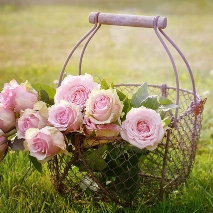 A nature & photo lover being positive, artistic and poetic. You don't need to be an artist to make profound expressions.