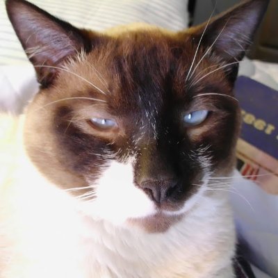 JRBuckley's profile picture. US Army Veteran, Retired IT Professional, Apistevist, and Foodie. He/Him
@jrbuckley.bsky.social