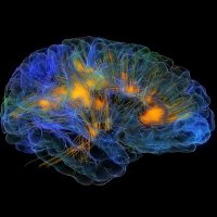 UCSF Neuroscience Graduate Program (@ucsfnsgrad) 's Twitter Profile Photo UCSF Neuroscience Graduate Program (@ucsfnsgrad) 's Twitter Profile Photo