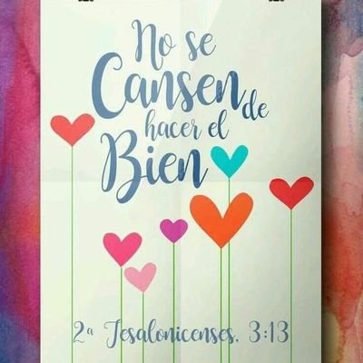 sofiapdm's profile picture. 