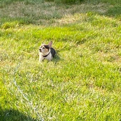 PatsPlaces29's profile picture. 