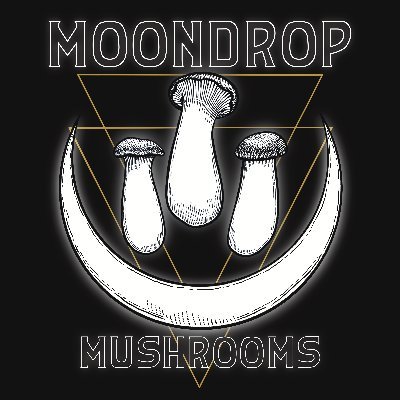 MoondropMushrooms