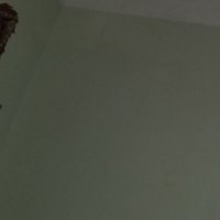 فحل جاد (@liz0vmuns5ltpnh) 's Twitter Profile
