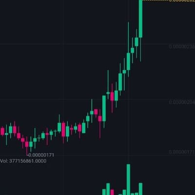 segdsh's profile picture. 