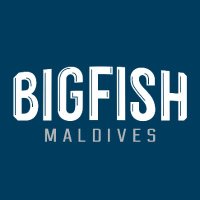 Big Fish Maldives(@BigfishMV) 's Twitter Profile Photo