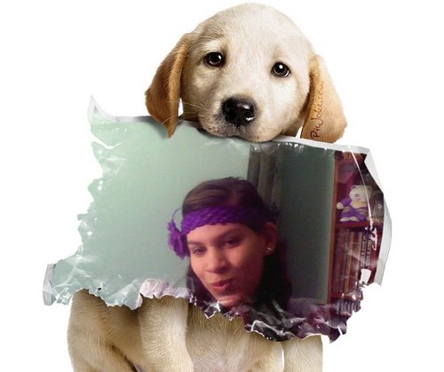 cleidysr's profile picture. художник