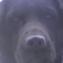 victor dee - @deevictor64 - Twitter