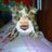 yxahama9262's profile image