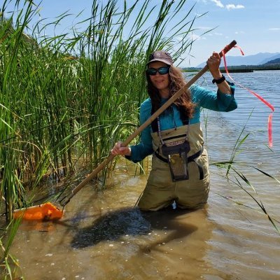 Darcie Quamme, MSc. RPBio. is a consultant with Integrated Ecological Research specializing in entomology, aquatic ecology and environmental assessment.