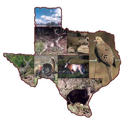 TexasOutdoorCalendar Profile