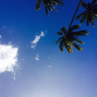 osmanthus_m's profile picture. 30代1人目妊活2022.11〜タイミング🙅‍♀️2023.5〜AIH⑤🙅‍♀️ 2024.8〜体外③🙅‍♀️2025.5月移植④🧚2026.2月上旬予定👶懸賞リツイします