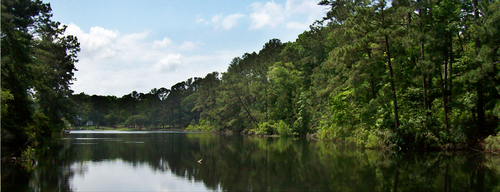 woodsyhollowrv's profile picture. Woodsy Hollow Campground is a hidden treasure waiting for your family to discover. Have fun at the swimming pool or fishing on the beautiful private lake.