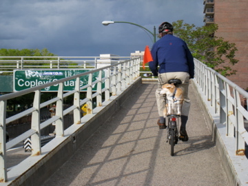 NebraskanMessi's profile picture. 