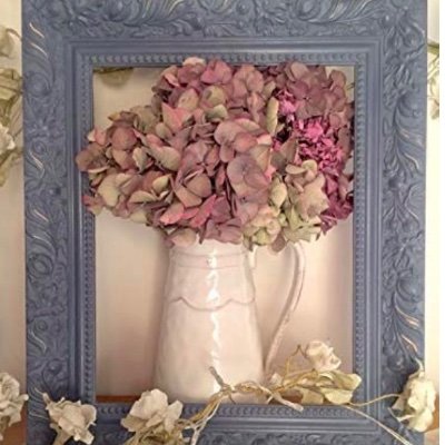 nancylyn4bama's profile picture. Proud Mom, Kind Heart, Love to Laugh! I love all things related to Interior Decor, Art, Sewing, Antiques. Alabama Fan! Roll Tide! Harley Davidson ❤️!