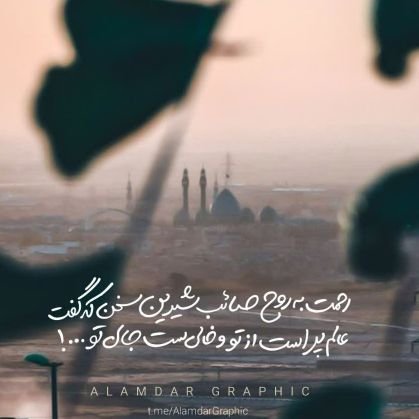 seyed_mehrshad's profile picture. 