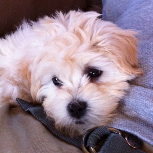 colleenkrygiel's profile picture. 