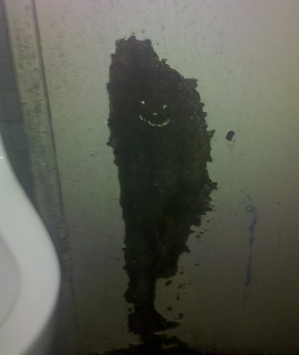 Sentient but grouchy rust spot, living next to the urinals in the 2nd floor men's room of Philadelphia Police Headquarters at 8th and Race Streets.