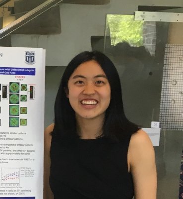 Bioengineering MD-PhD Student in @BurdickLab @MauckLab @pennbioeng @PennMedicine | @DukeEngineering BME alumna