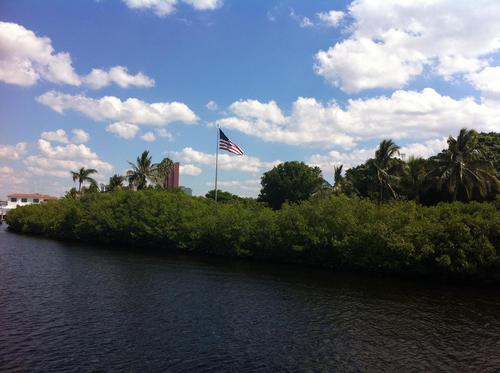 Ricov195's profile picture. 