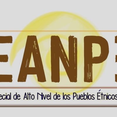 Instancia Especial de Alto Nivel con Pueblos Étnicos para seguimiento de la implementación de los Acuerdos Finales de Paz en Colombia. Consultora Interlocutora.