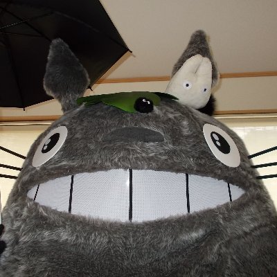 あおの26号 トトロ 池袋 ハロウィン17に行ってきました サンシャインb2のどんぐり共和国前バス停に行くと 撮影が途切れず 脱出できなくなってパレード受付間に合いませんでした それとほぼ通路を塞ぐ状態になり怒られるかもと冷や冷や 帰って乾燥中の トトロ 池袋