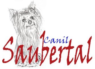 CANIL SAUBERTAL é registrado no kennel clube de florianópolis, trabalha com  criação e venda de filhotes das raças YORKSHIRE TERRIER e SHIH TZU.