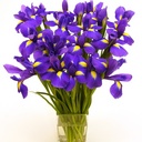 Tracey Pitts - @taffyapple86 - Twitter