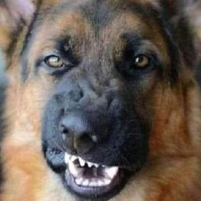 ShutterBugCraze's profile picture. 