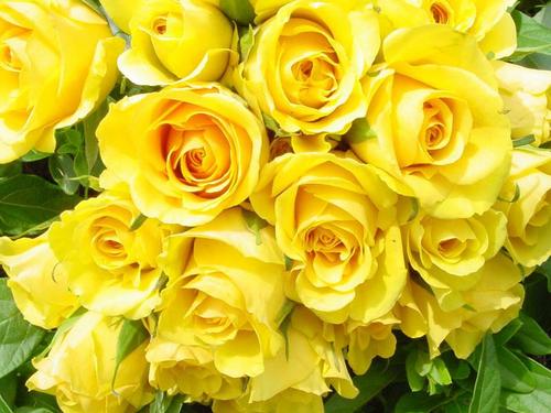 Có ý thức cộng đồng, sống thẳng thắn, thiện chí, thanh thản,  cố hiểu người hơn, hiểu mình hơn