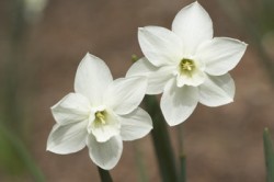 GlosGlo's profile picture. 