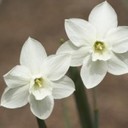 Georgene Sanchez - @GlosGlo - Twitter