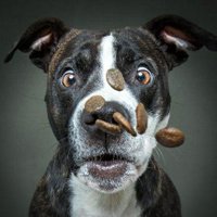 Irene Bertoletti ๐บ๐ฆ ๐ช๐บ (@bertolire) 's Twitter Profile