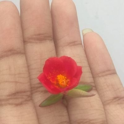 DivyaKedare's profile picture. Student🧚🏻‍♀😇