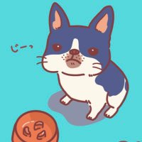 虎蔵-フレブル- (@torazooou) Twitter profile photo